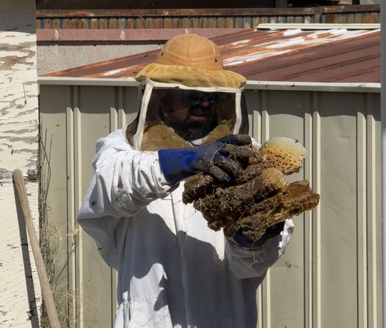 Bee work service